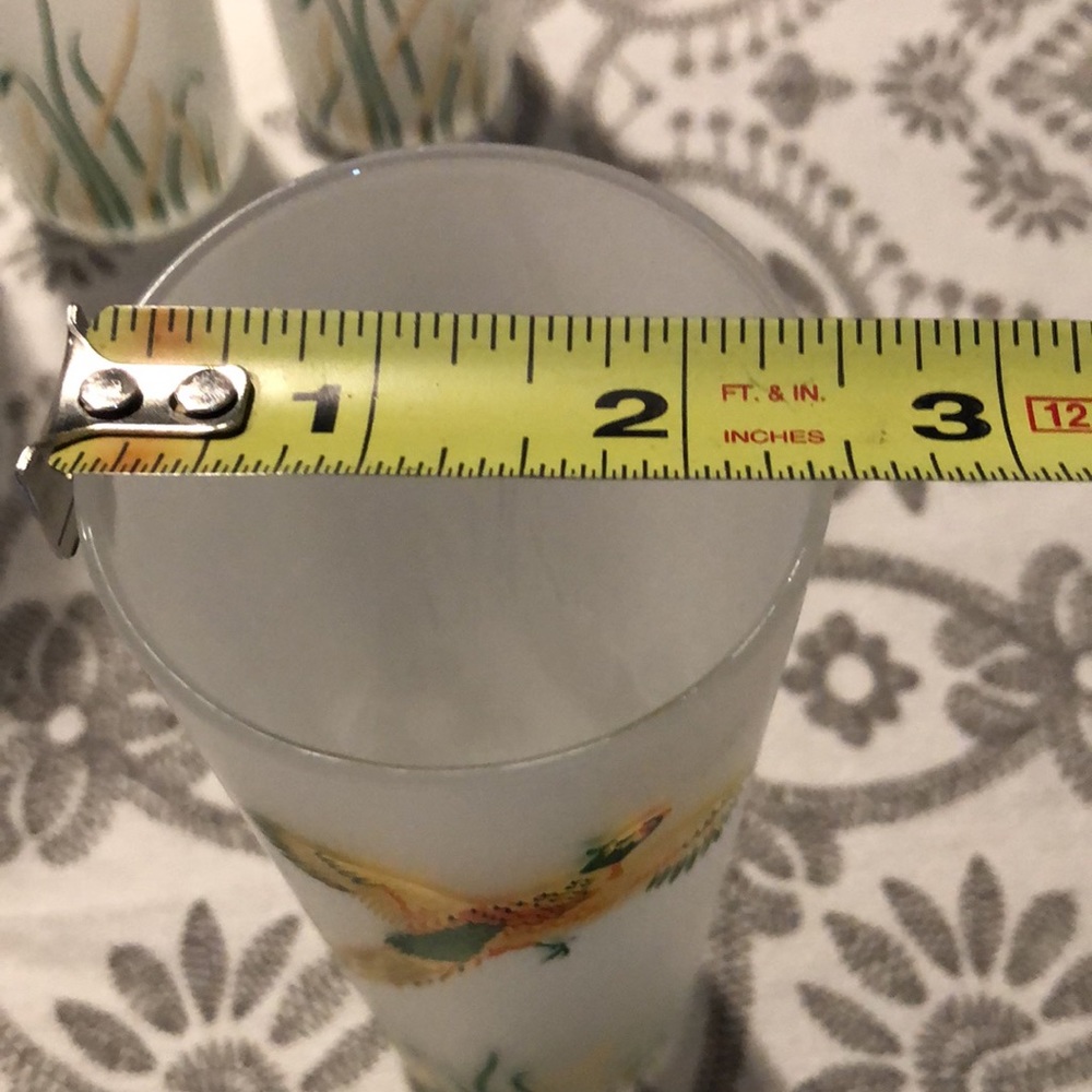 Vintage frosted flying wild birds highball glasses - Picture 3 of 4